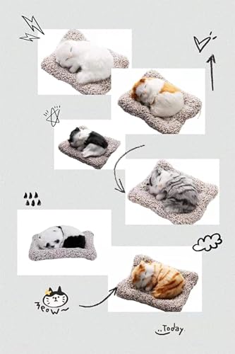 Ayush International Soft Sleeping Cat Plush Toy for Kids | Realistic Cat Sounds on Press | Cuddly Stuffed Animal Fur Toy Ayush International Soft Sleeping Cat Plush Toy for Kids | Realistic Cat Sounds on Press | Cuddly Stuffed Animal Fur Toy