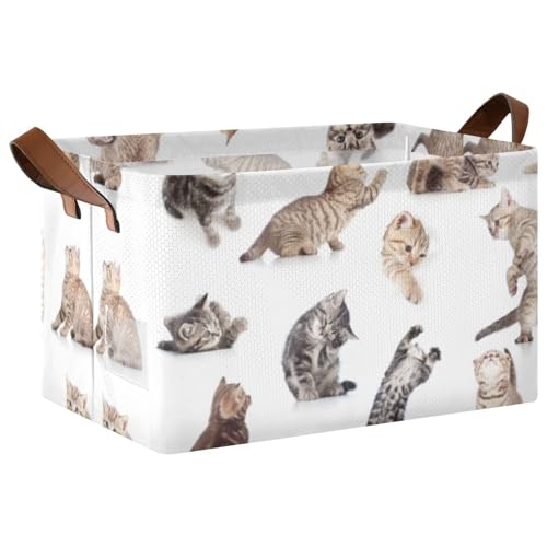 Collection of Funny Playful Cats Kittens Isolated on White 1PC Rectangle Foldable Frame Basket Leather Handles Storage Bin for Laundry Bathroom Organizer M 16.9 x 11.4 x 10 inch
