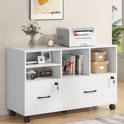 Nosepen 2 Drawer Wood Mobile Large Lateral File Cabinet with Lock, Lockable Rolling Filing Cabinet...