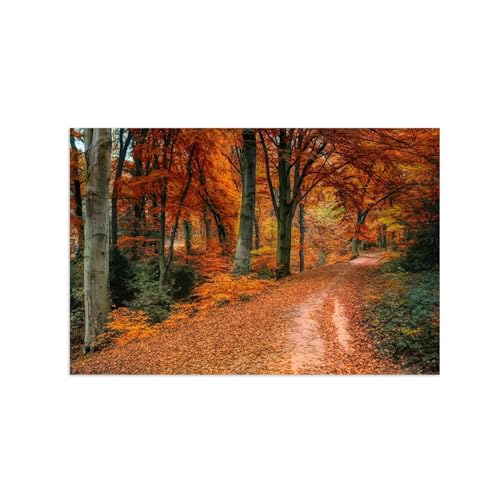 Impressions sur Toile Paysage Forêt d'Automne LXURY Fine Art