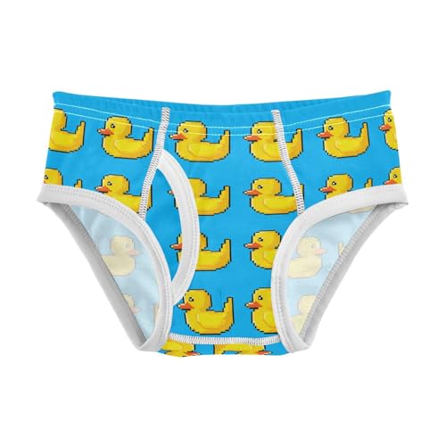Cute Duck Toddler Boy's Underwear 2T 202c1843