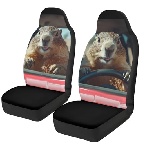 Housse de sièges auto Capybaras durables 52X138cm couvre siège universel