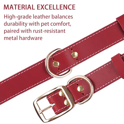 Robustes Hundehalsband aus Echtem Leder –vVerstellbares Design,Weich und Strapazierfähig mit Metallschnalle und D-Ring für Kleine, Mittlere und Große Rassen (Rot, L)
