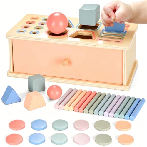 Montessori Spielzeug ab 1 2 3 Jahr, Farbe Form Sortierspiel ab 1 Jahr, Holzspielzeug Montessori ab 2 Jahre Motorikspielzeug Baby Sensorik Spielzeug Kleinkinder Lernspiele Geschenk für Jungen Mädchen