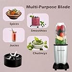 Captain-Nutri-Blender-500W-Copper-2-Jar-Silver