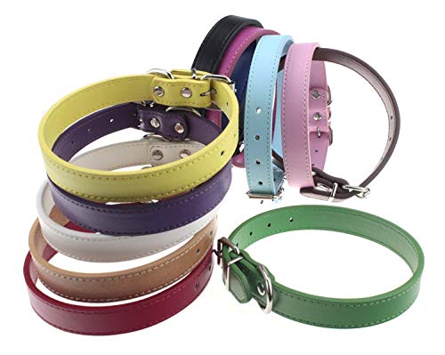Set de 12 Collares Ajustables de Cuero para Perro Mediano Grande miniatura 2