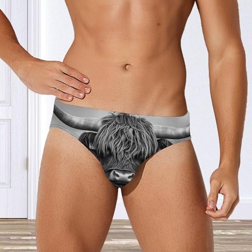 Black and White Highland Cow Printed Swim Briefs for Men Sexy Bikini Swimwear Elastic Beach Trunks Bathing Suit2