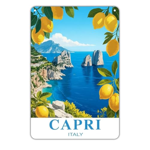 Capri-Italy-Landscape-tin-sign-Vintage-Italian-Coast-Metal-Sign-Print-Aesthetic-for-Garden-Yard-Bar-Porch-Home-Bedroom-Kitchen-Wall-Decor-Decor-Gift-8-x-12-inch