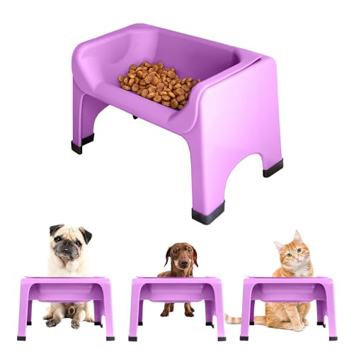 Top 10 Feeding Bowls For Pugs of 2022 Katynel