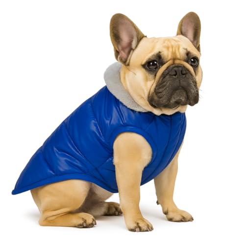 Image of The Pets Company Dog Winter Coat Jacket, Clothes, Windproof, Waterproof, Light Weight, Washable, Ultra Warm Thick Fleece Lined Dog Vest for Cold Weather Protection, (Blue, Small - Medium - 16 Inch)
