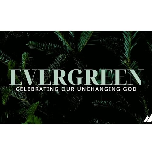 Christmas Evergreen Pt. 4