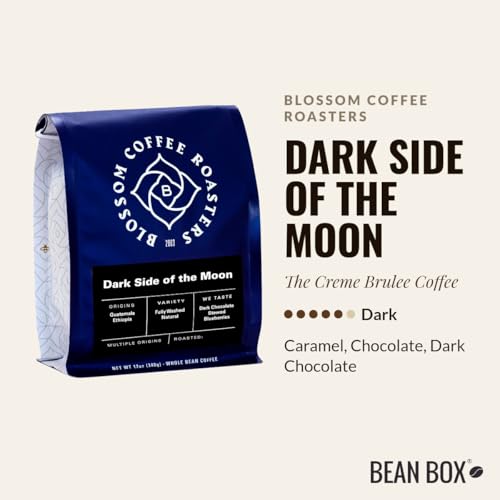 Bean Box Coffee Sampler - 2-Pack Molido miniatura 2
