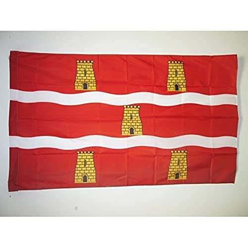 AZ FLAG, Department of Deux-Sèvres Flag, 2x3 Ft, Deux-Sevres Banner with Sleeve, 100% Polyester, Fade Resistant, Vivid Colors