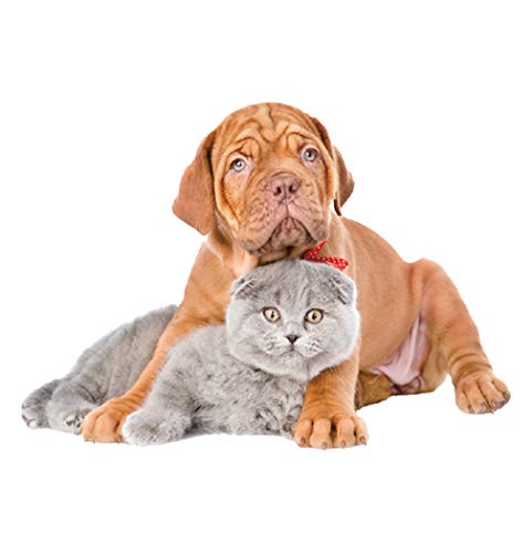 Preisvergleich Produktbild Lustige Katze Hund 3d Ansicht, Wandaufkleber Schlafzimmer Toilette Küche Wohnkultur Kreativ, Tierhandlung Wandtattoo 27 cm * 17 cm A