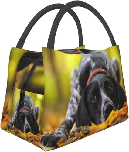 秋のドイツショートヘアポインター犬 大容量保冷ポータブルバッグ 防水通気性耐摩耗ランチバッグ プチ防水ランチトートバッグ