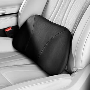 POKSRI Lendenstützkissen Auto, Memory Foam Füllung & Hautfreundliches Samtleder – Taillengerechte Passform & Komfortsteigernd, Tragbar für Auto, Büro & Ruhestuhl, 39x22cm