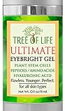 Tree of Life Anti-Aging Ultimate Eyebright Eye Gel with Amino Acids and Hyaluronic Acid for Dark Circles and Puffiness, 0.5 Fl Oz