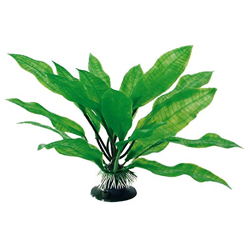 Amtra Deko Plant Echinodorus - Decorazione pianta Finta atossica per Acquari, Accessorio Ornamentale subacqueo, Decorativo rifugio nascondiglio, Dimensione 26,5 * 12 * 3,5 cm
