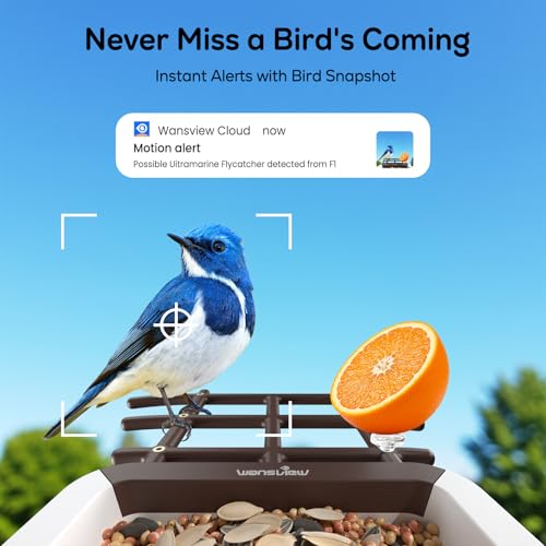 wansview 2K Bird Feeder with Camera Solar Powered 2 4G WiFi F1 Brown - image 3