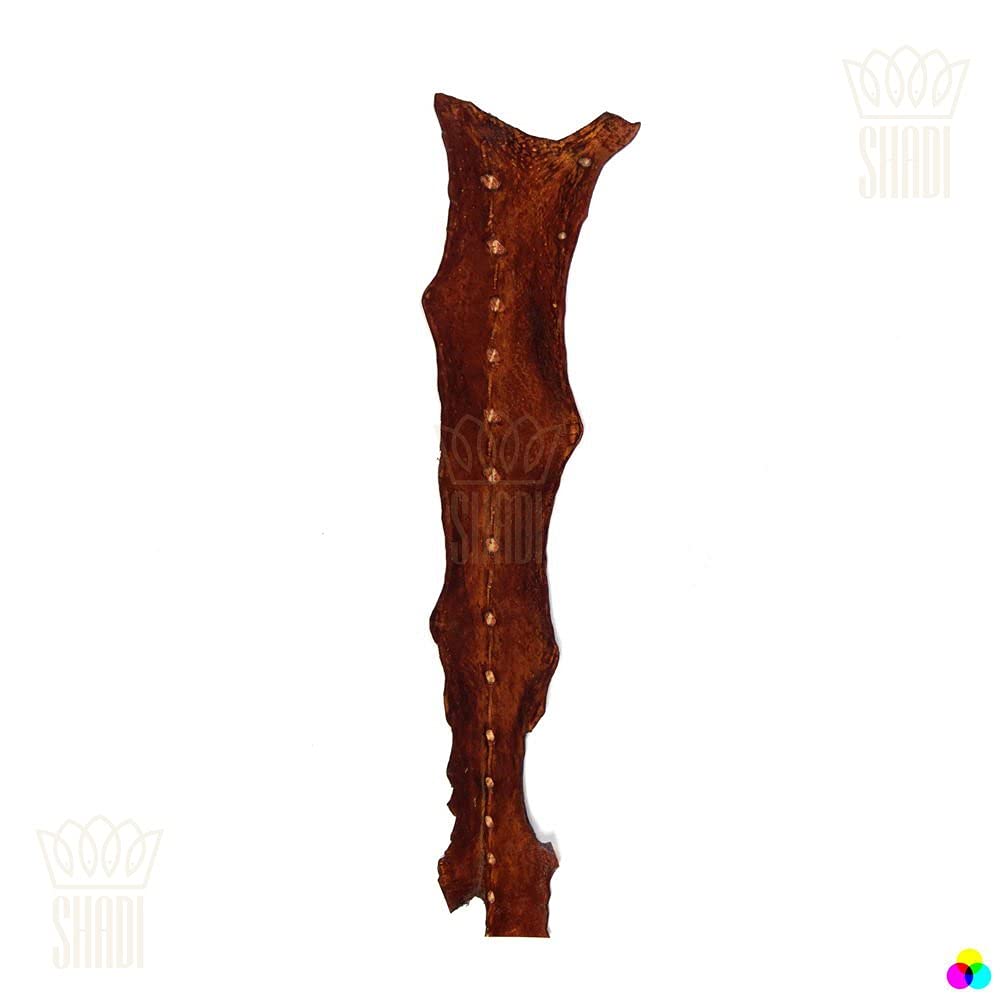 Cuoio esotico Storione Cuoio Pesce Cuoio Medio Durezza Genuina Leath Utensili Cuoio Artigianale Cuoio Cuoio Cuoio per Crafting