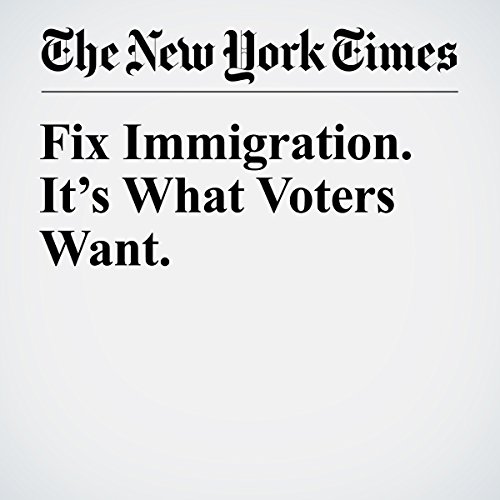 Fix Immigration. It&rsquo;s What Voters Want. cover art