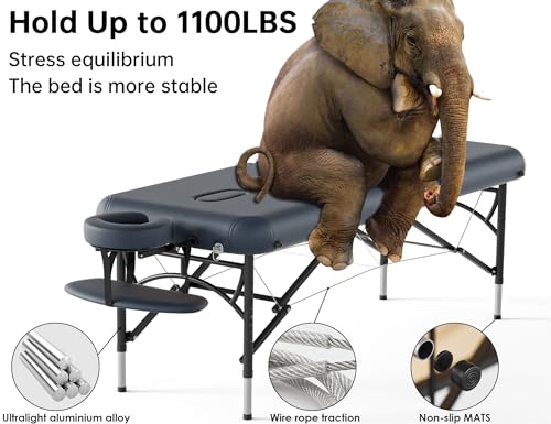 Image of CLORIS 84 inch Professional Massage Table 2 Section Portable Hold Up to 1100LBS