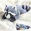 Gray Raccoon Weighted Teddy