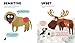 Big Book of Feelings (Animals with Attitude)