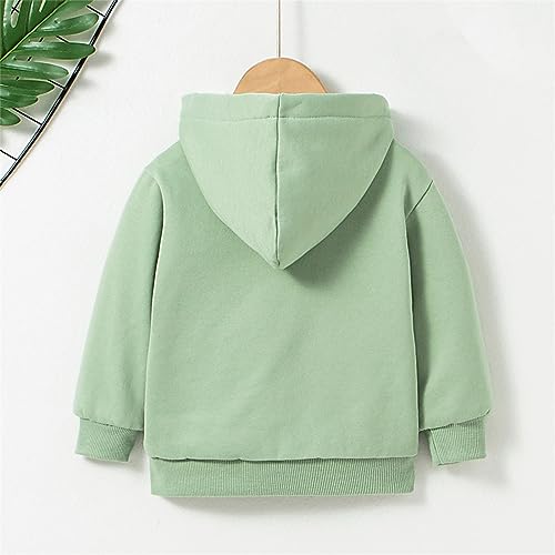 Toddler Kids Outwear Long Sleeve Sweatshirt Zipper Jacket Coat for Girls Or Boys Fall Winter Hooded Jacket3