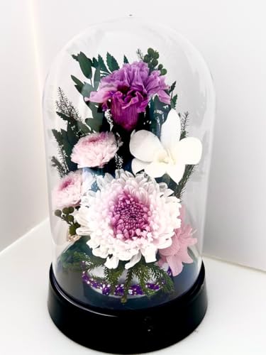  䋟 ]     d @v vU[uht[ ͂Ȃ h[P[X (y eh[)