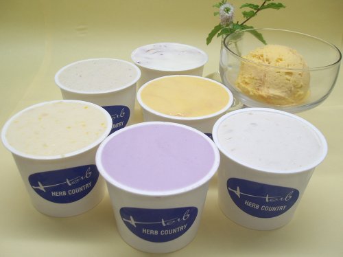 手作りアイスクリーム・当店おすすめセット(120ml) (8個セット)