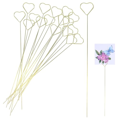 Zorfeter S[ht[J[hz_[ 30 ^C[t[sbN EhMtgJ[hz_[ 13.4C`Nbv EFfBOp[eB[ a P[L (n[g)