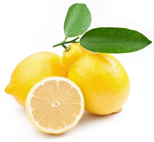 Fresh Lemon Premium Fragrance Oil, 16 Oz. Bottle
