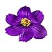 Super Z Outlet Hula Girl Paper Foam Hibiscus Color Assorted Flower Lei Hawaiian Island Rainforest Theme Hair Clips for Costume, Birthday Party Favors, Event Decoration Supplies (12 Pack)