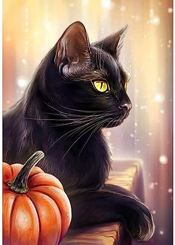 Halloween Diamond Painting Kits for Adults, Cat Pumpkin 5D DIY Diamond Art Kits Full Drill Diamond Dots for Gift Wall Decor and Relaxation Gem Arts 12x16 inch - B4672-new