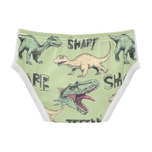 Wusikd Dinosaurs Vintage Boys' Underwear Cotton Sharp Teeth Boys Briefs Soft Toddler Underwear 2T2