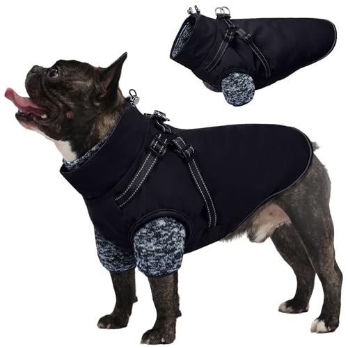 Lelepet pR[g 3C1 hpEB^[WPbg n[lX hXm[WPbg O\ȃt[XZ[^[nt ˔MhR[g ^  ^p