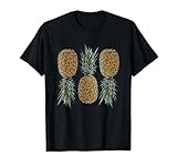 Ananas retrò vegano e vegetariano vintage frutta