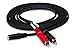 Hosa CFR-210 3.5 mm TRSF to Dual RCA Stereo Breakout Cable, 10 Feet