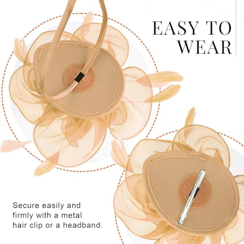 Image of DRESHOW Fascinators Hat Tea Party Headwear Ribbons Feathers on a Headband and a Clip for Women