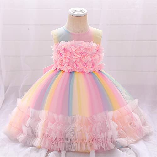 Toddler Kids Girls Sleeveless Party Dresses Photograph Rainbow Flower Mesh Dress Lace Fluffy Tulle Pageant3