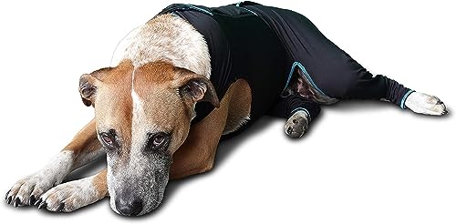 Image of BENEFAB Therapeutic Comfort Suit for Dogs - Lightweight Far-Infrared Jacket for Canines of All Ages - Relaxing FIR Compression Suit Soothes Muscles, Joints, and Pain (Small)