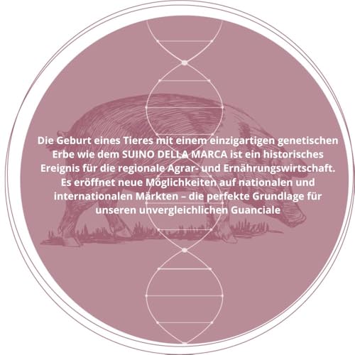 Guanciale 1,2 kg Gourmet g.g.A (I.G.P.) ganzes Stück – luftgetrocknete italienische Schweinebacke, glutenfrei – ideal für Pasta Amatriciana & Carbonara