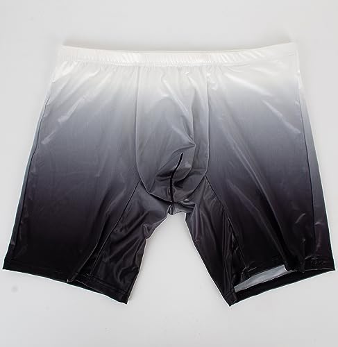 WINDAY Men's Briefs Gradient Color Ice Silk Sports-Inspired Underwear Boxer Briefs N23054