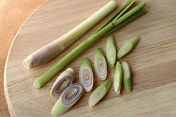 Lemongrass Fresh 12 Stalks from TastePadThai