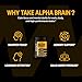 Onnit Alpha Brain Review