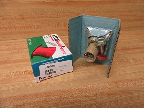 Asco/Red Hat 302375 Solenoid Valve Rebuild Kit