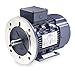 Premium Efficiency Metric Motor, 230/460V
