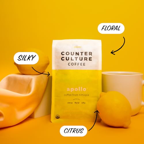 Counter Culture Apollo Ethiopian Medium Roast