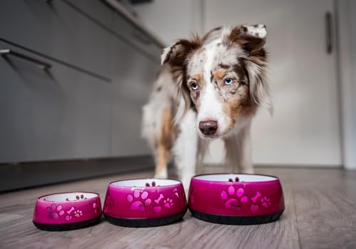 Hundenapf für Kleine und Große Hunde - Futternapf/Trinknapf S/M/L Rutschfest (M 1010ml für Mittlere Hunde, Pink)